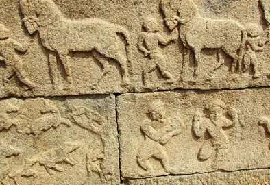 Hampi und der Käse