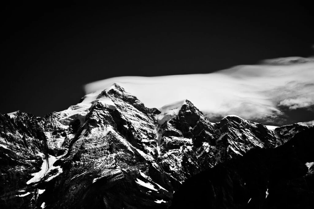 Bild Martin Brunner